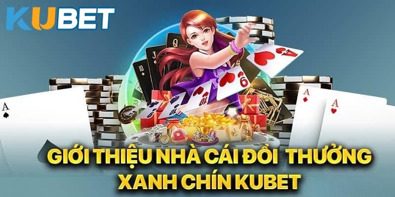 Giới thiệu Ku11 về những ưu điểm nổi bật