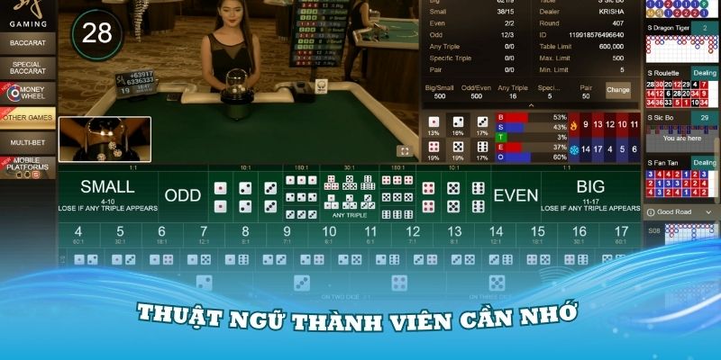 Thuật ngữ thành viên cần nhớ khi chơi tài xỉu online